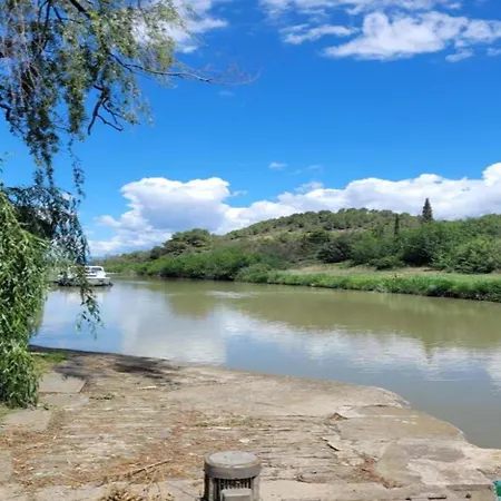 Spacious With Private Swimming Pool 别墅 Félines-Minervois