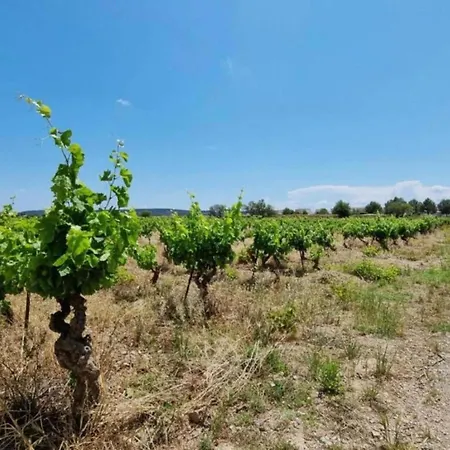 Вилла Spacious With Private Swimming Pool Felines-Minervois