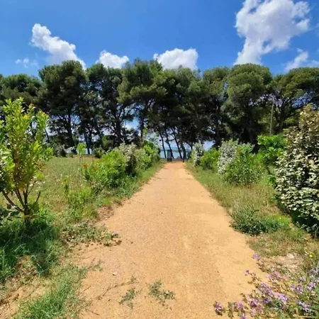Spacious With Private Swimming Pool Félines-Minervois